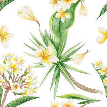 Hand-painted watercolor botanical illustration with plumeria flowers and yucca tree on white background for textile design 