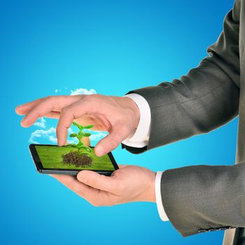 Businessman holding smartphone with plant on blue background