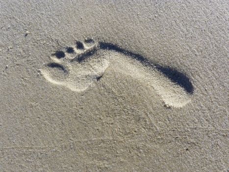 Single footprint on sand beach