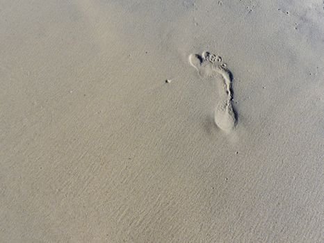 Single footprint on sand beach