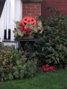 A pumpkin adds a little decor to the season of thanksgiving and Halloween.