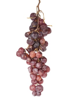 sear grape on white background