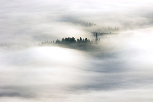 evening mountain plateau landscape (Carpathian, Ukraine) 