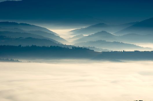 evening mountain plateau landscape (Carpathian, Ukraine) 