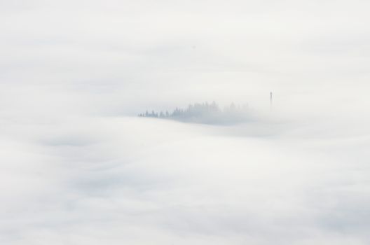 evening mountain plateau landscape (Carpathian, Ukraine) 