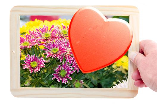 Hand holding a blackboard with wooden edge. On the chalkboard a picture of flowers and a red heart.