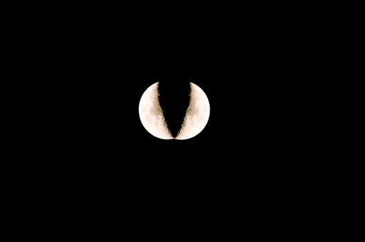 Two crescent halves. Moon apart.