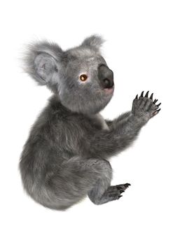 3D digital render of a cute Australian koala bear isolated on white background