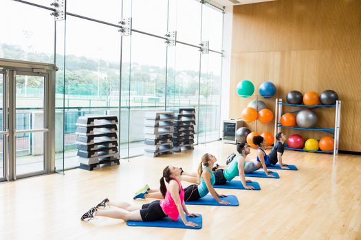 Fitness class exercising in the studio at the gym