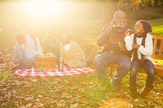 Happy family having a picnic in parkland