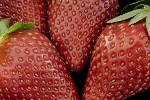 Delicious fresh whole ripe red strawberries in a closeup background texture for a healthy organic snack or vegetarian cuisine