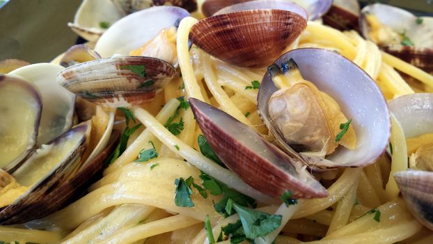 An appetizing dish of Mediterranean countries: spaghetti with clams.







Spaghetti with clams