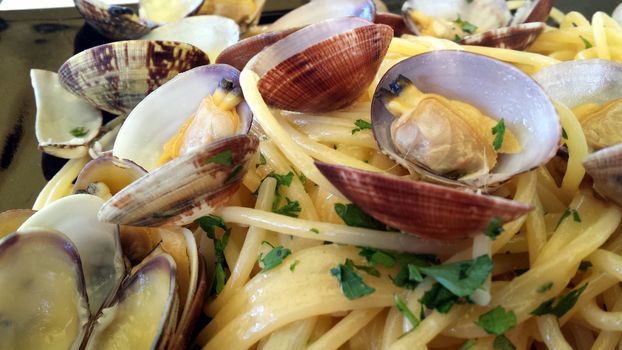 An appetizing dish of Mediterranean countries: spaghetti with clams.







Pasta with clams