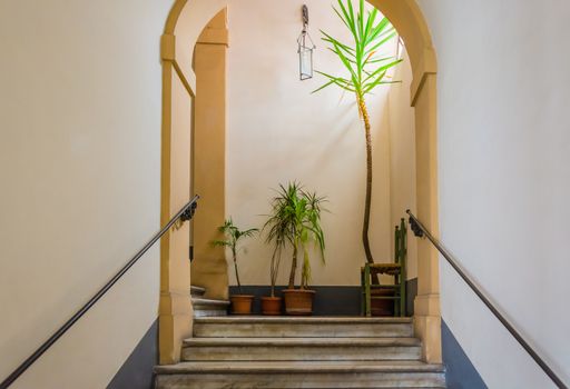 Marble stairs with plants and a wooden chair