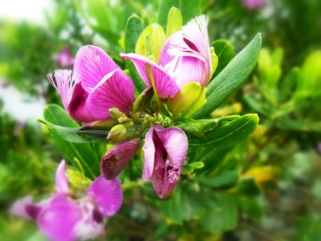 close up of a pink flower sticking out from small tree