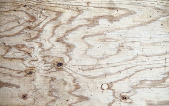 The Texture of grunge wood background. Closeup