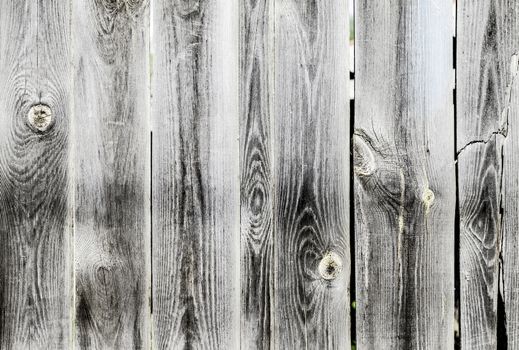 The Texture of grunge wood background. Closeup