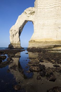 Vertical view of Etretat Aval cliff, Normandy, France, Europe.