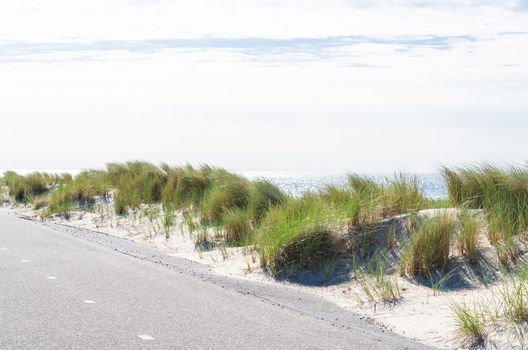 Beach, sea, sand dunes and grass in Ouddorp, North Sea, Holland.