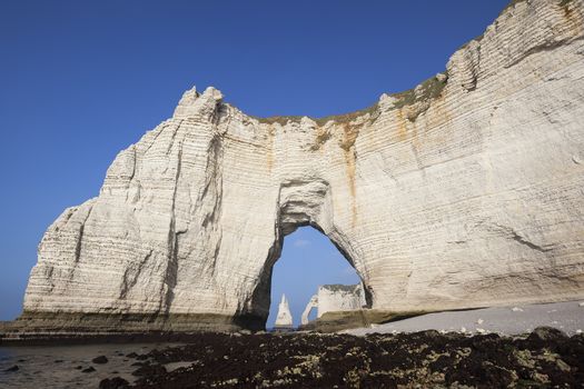 Famous chalk cliffs at Cote d'Albatre (Alabaster Coast). Etretat, France
