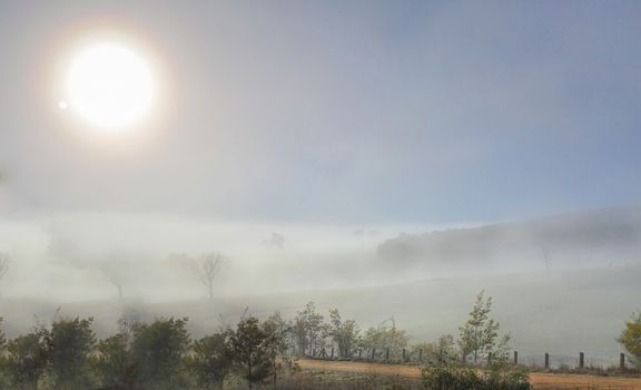 Winter sun shines through the thick fog in an icy cold rural landscape at Carcoar.  The chilly landscape cloaked in heavy fog and obscuring visibility,  but creates a mystical magical soft focus scene. 