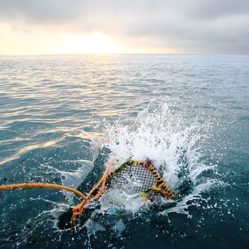 Splashing creel in the sea at dawn for fishing