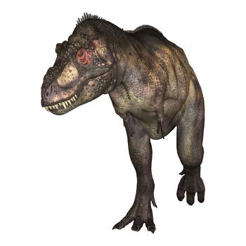 3D digital render of a dinosaur tyrannosaurus isolated on white background