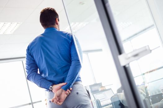 Business man making a presentation at office. Business executive delivering a presentation to his colleagues during meeting or in-house business training. Rear view. Business and entrepreneurship.