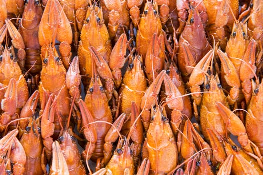 Photo of background with red boiled crawfishes