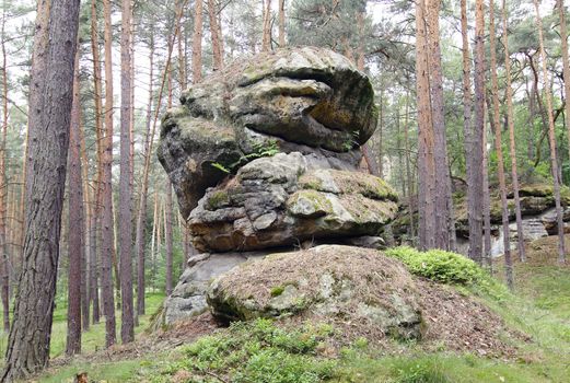 Bizarre sandstone rock formation in the forest