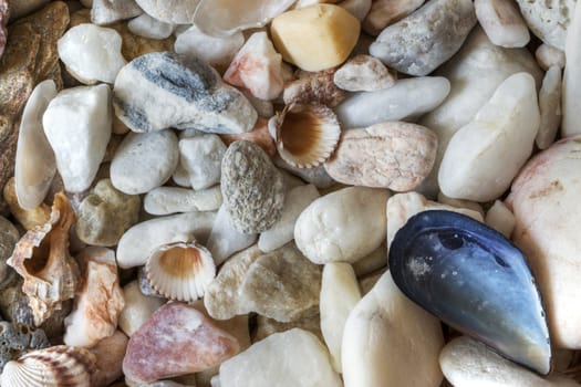 Detail of the various sea pebbles on with shells