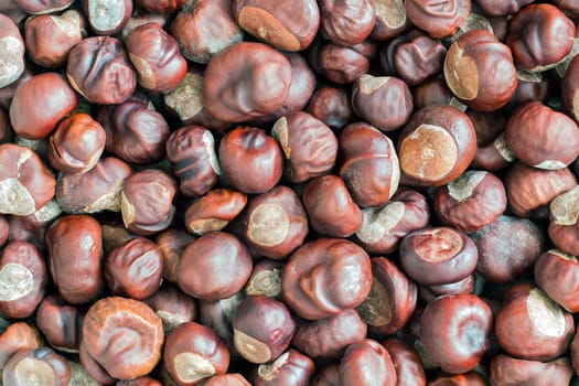 Detail of the heap of chestnuts - autumn product