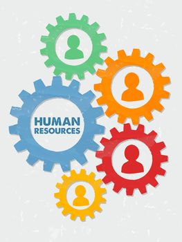 human resources words and colored person signs in grunge flat design gear wheels, business concept