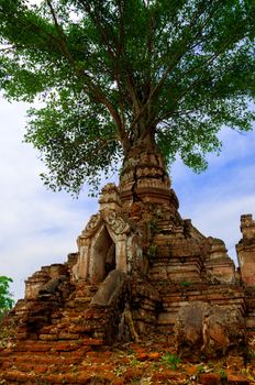 A tree growing on an old temple in mini - Bagan, Hsipaw Myanmar