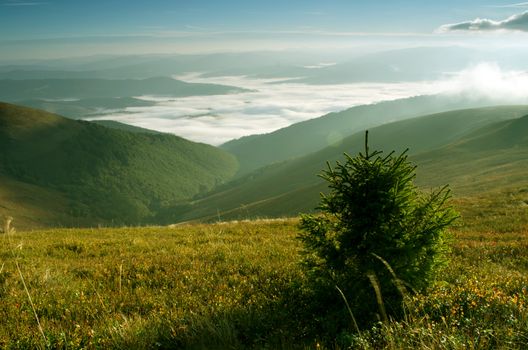 evening mountain plateau landscape (Carpathian, Ukraine) 