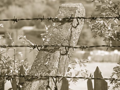 Security fence with barbed wire
