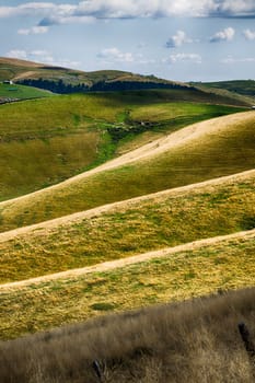 View of meadows in the mountains that create sinuous lines.