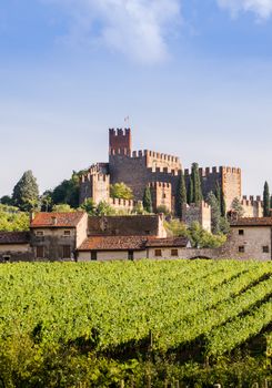 view of Soave (Italy) surrounded by vineyards that produce one of the most appreciated Italian white wines, and its famous medieval castle.