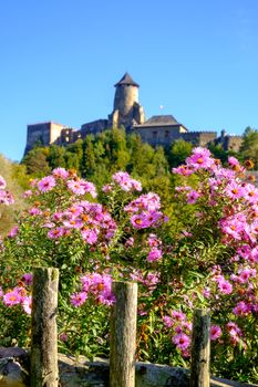 Beautiful colorful flowers and old historical castle in Stara Lubovna, Slovakia, Eastern Europe