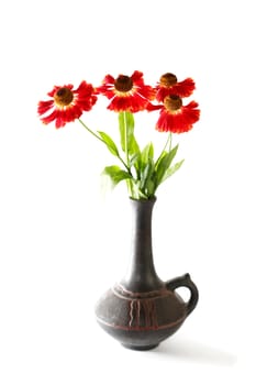 Bunch of beautiful red flowers in ceramic vase on white background