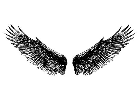 freehand sketch, doodle hand drawn of angel wings