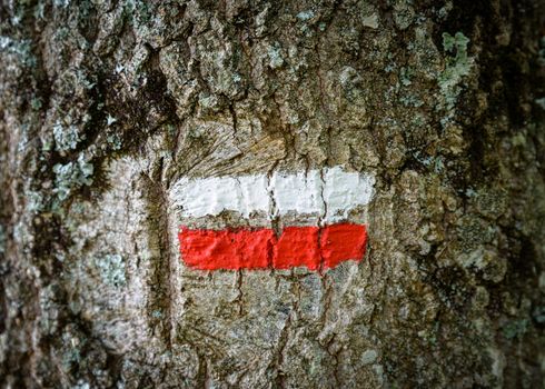 Hiking trail sign in France