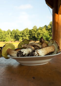 On the wooden table is a plate of freshly picked mushrooms (Boletus edulis) against sblu sky.Vertical view.