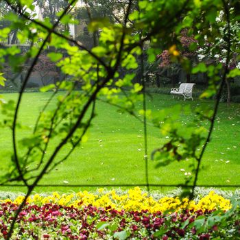 white metal bench in the garden, see through the tree