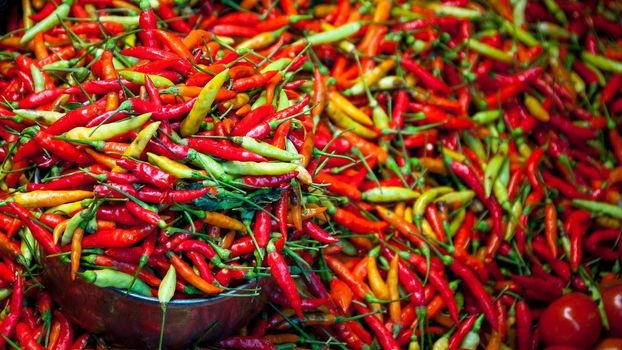 Loads of red, green and orange Chillies
