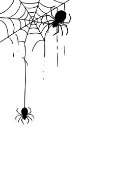 freehand sketch illustration of spider and web, doodle hand drawn