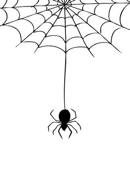 freehand sketch illustration of spider and web, doodle hand drawn