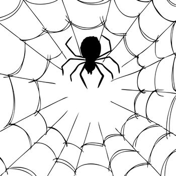 freehand sketch illustration of spider and web, doodle hand drawn