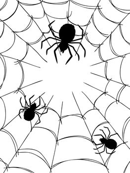 freehand sketch illustration of spider and web, doodle hand drawn