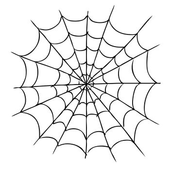 freehand sketch illustration of spider web, doodle hand drawn